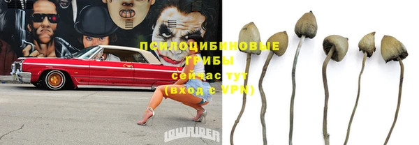 герыч Арсеньев