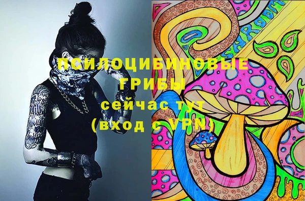 герыч Арсеньев