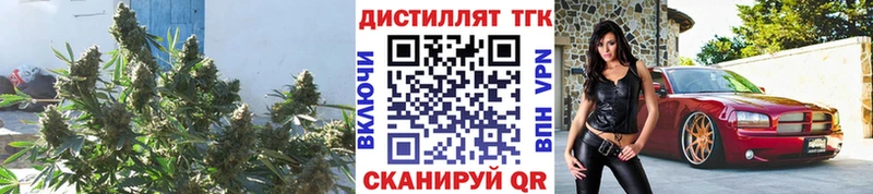 ссылка на мегу ССЫЛКА  Волгодонск  ТГК концентрат 