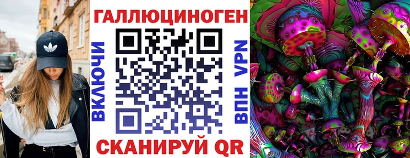 Псилоцибиновые грибы GOLDEN TEACHER  omg зеркало  Волгодонск 